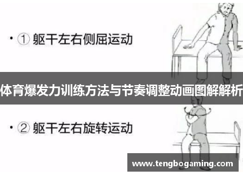 体育爆发力训练方法与节奏调整动画图解解析