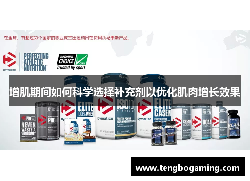 增肌期间如何科学选择补充剂以优化肌肉增长效果