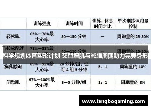 科学规划体育塑形计划 交替增肌与减脂周期助力完美身形