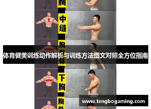 体育健美训练动作解析与训练方法图文对照全方位指南