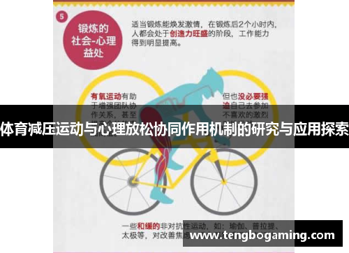 体育减压运动与心理放松协同作用机制的研究与应用探索